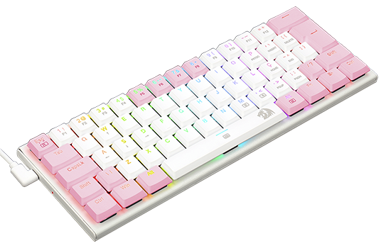 Z590